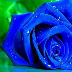 big bang blue 