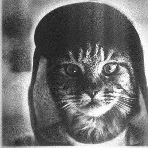 Джоин - Игра без правил