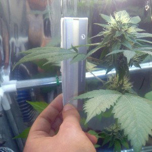 04 - Smokka - Rap(ina)