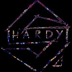 SHARDY  - BASSBIT